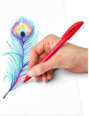 Actual product image Staedtler Biros ball 4320 M, 10-pack cardboard case (Multicoloured, 10x)