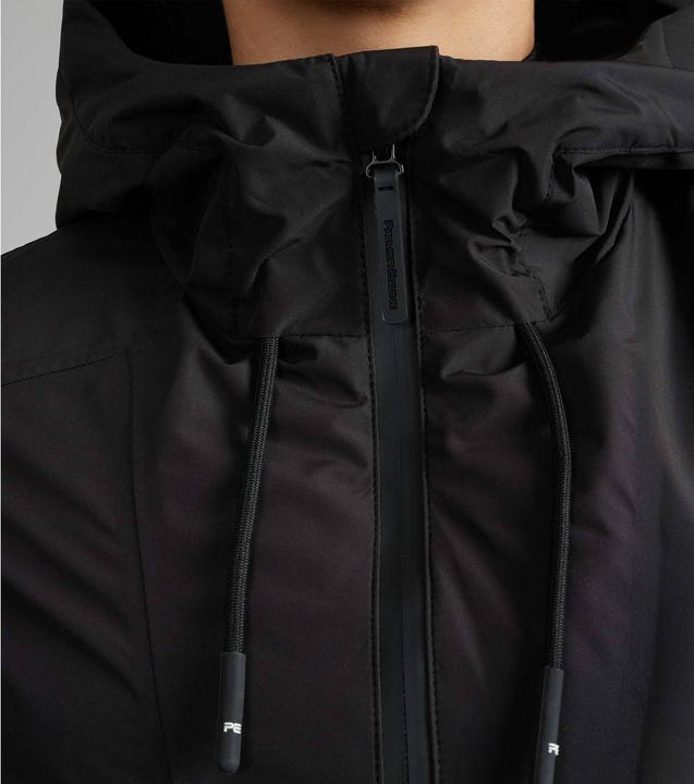 Premier Equine Motet