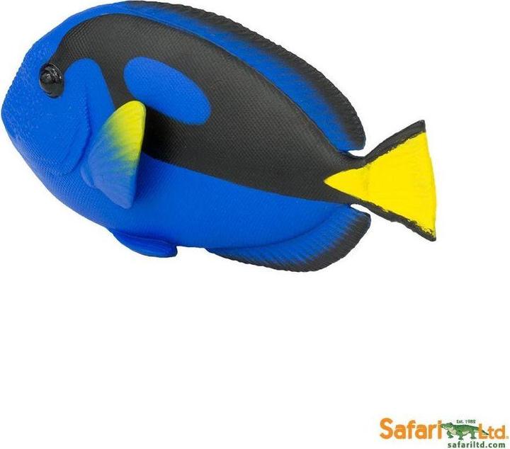Produktbild Safari Paletten-Doktorfisch