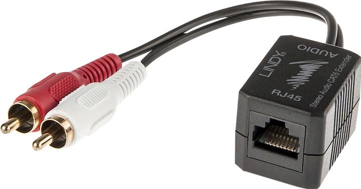 Actual product image Lindy Cat.5/6 100m 2x RCA (Extender)