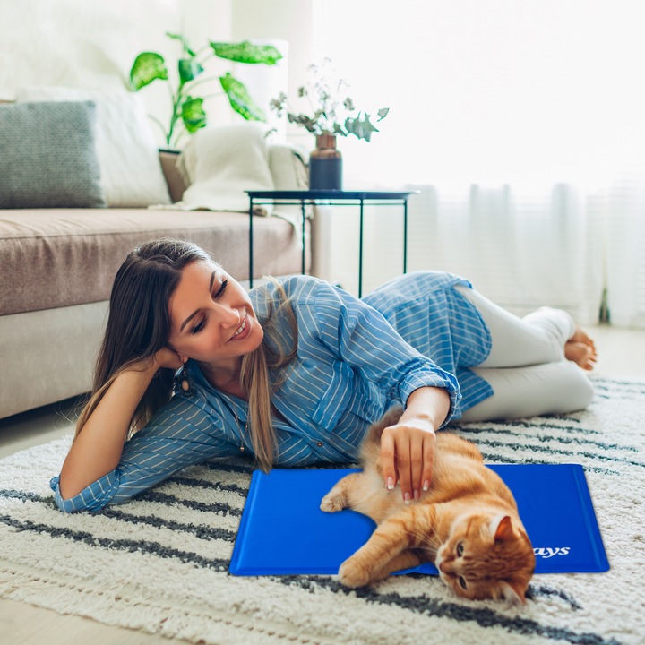 Actual product image Relaxdays Dog Cooling Mat, Blue (Dog)