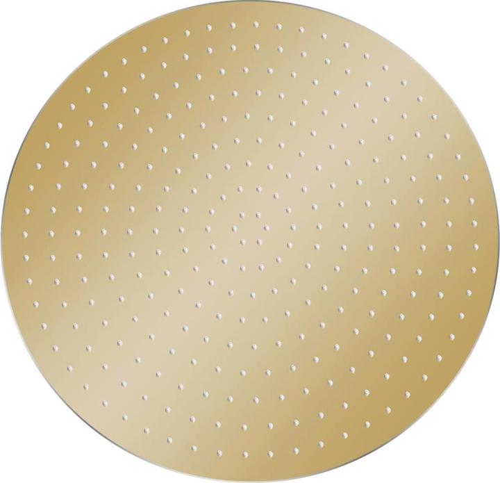 Produktbild vidaXL Duschkopf