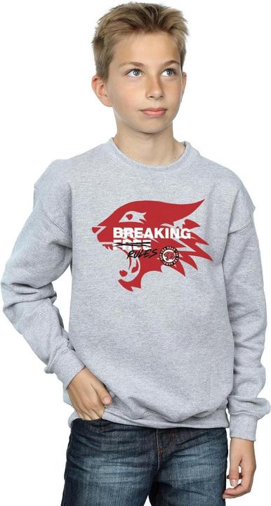 Image du produit Disney - Sweat HIGH SCHOOL MUSICAL THE MUSICAL BREAKING RULES - Garçon (128)