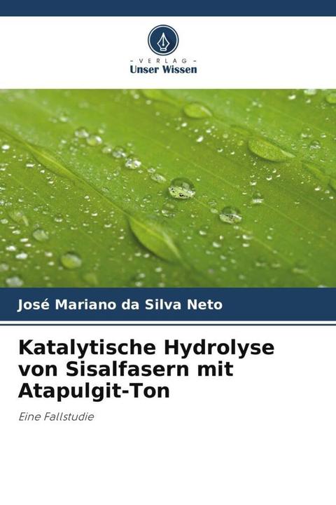 Immagine prodotto Katalytische Hydrolyse von Sisalfasern mit Atapulgit-Ton (José Mariano da Silva Neto, 2024)