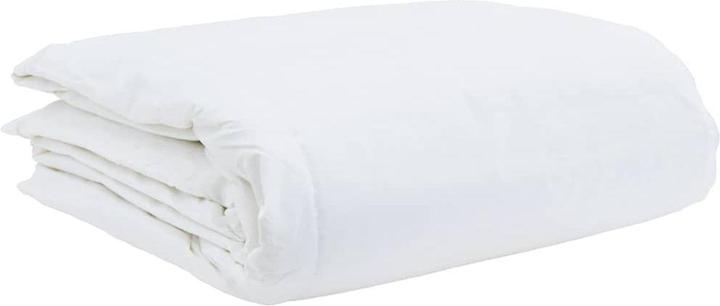 Immagine prodotto vidaXL Sommerdecke (2100 g, Piuma, 200 x 240 cm)