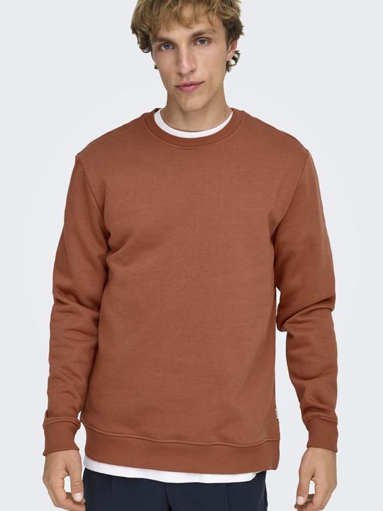 Produktbild Only & Sons Onsconnor Reg Crew Neck Sweat Noos (S)