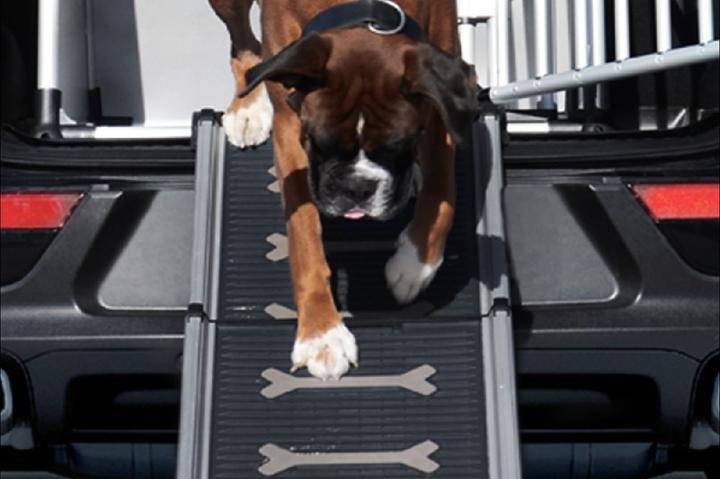 Image du produit 4pets Easy-Steps (Chien, Pliable)