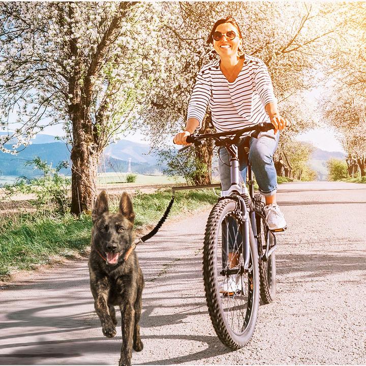 Actual product image Swisspet Run (Dog)