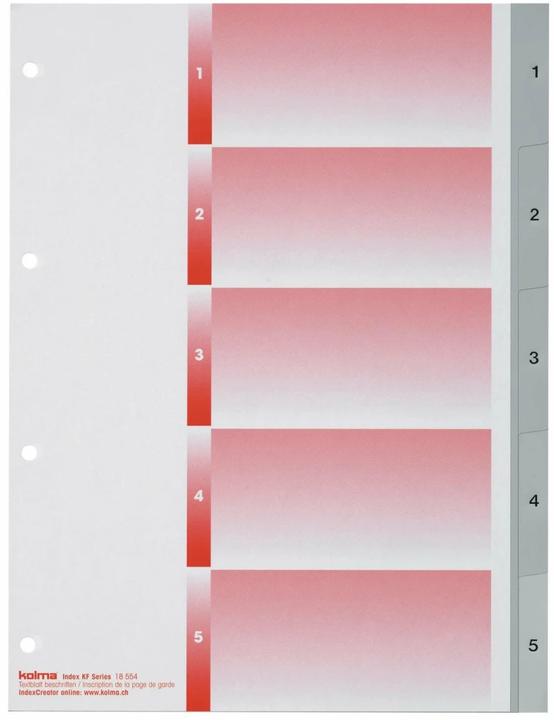 Actual product image Kolma Index A4 strong 1-5 5-piece grey