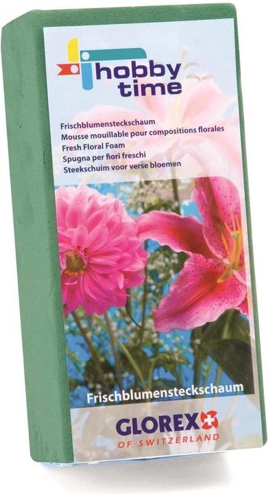 Glorex Mousse pour compos.florales p. fleurs fraiches, 230x110x75mm