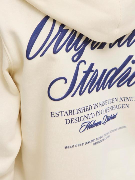 Produktbild Jack & Jones Jornorrebro Typo Back Sweat Hood Sn Jnr (164)