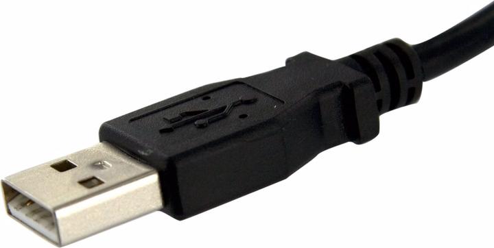 Actual product image StarTech USB A – USB A (0.30 m, USB 2.0)