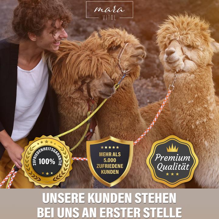 Immagine prodotto Mara Vital Cuscino in alpaca (65 x 100 cm)
