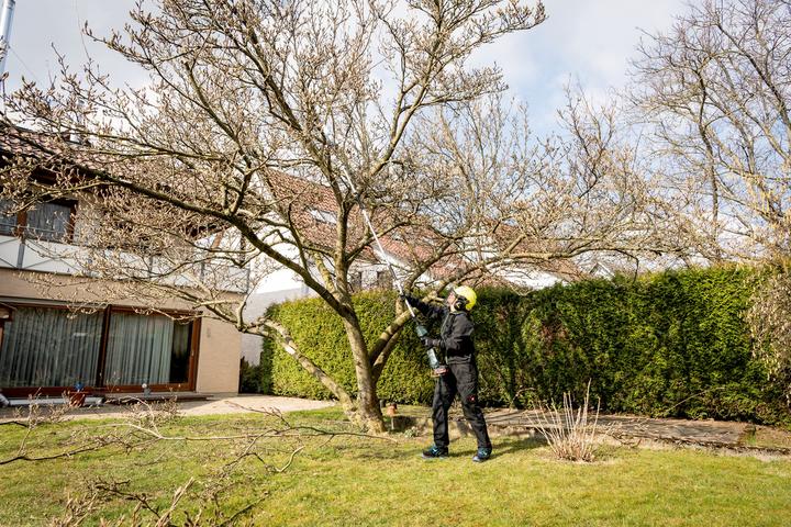 Produktbild Metabo MA-MS 25 (Akku Kettensäge)