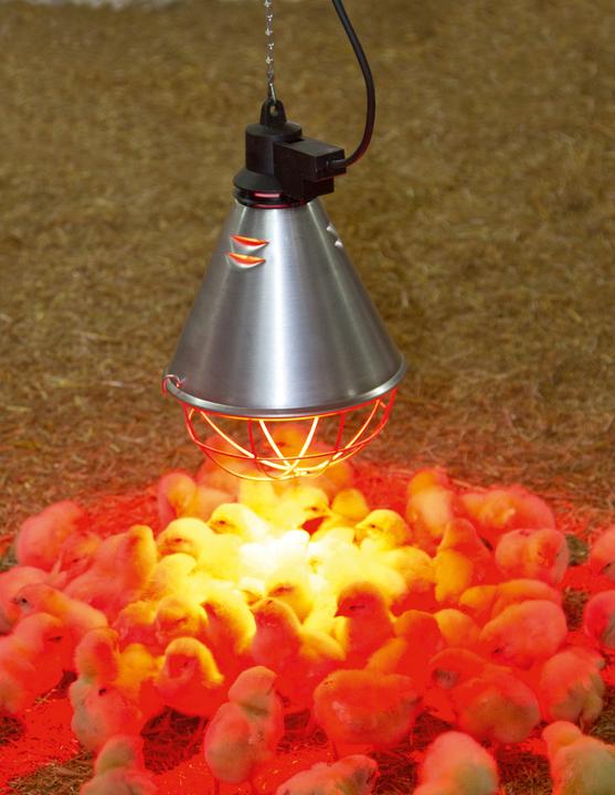 Actual product image Kerbl Infrarot-Wärmestrahler 5,0mtr.