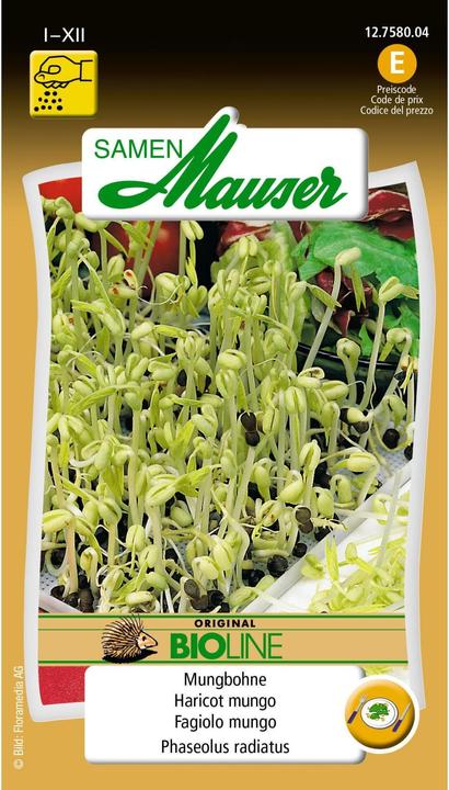 Produktbild Samen Mauser Bio Speisekeimlinge Mungbohne (Keimlinge)