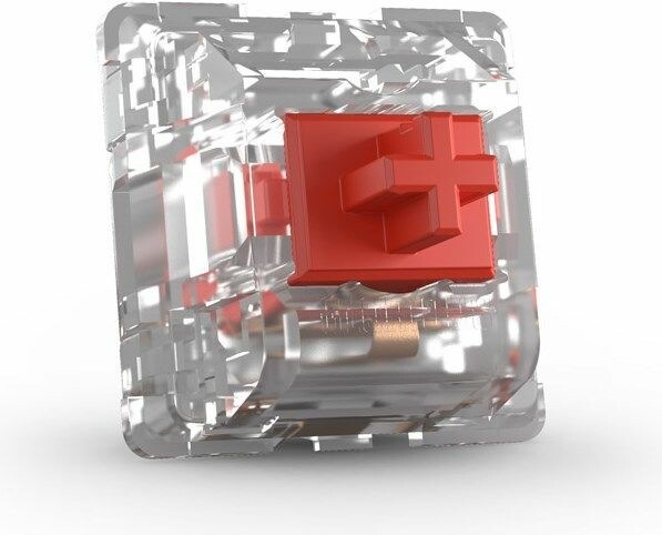 Actual product image Glorious PC Gaming Race Fox Switches - Forge, 120 pieces, lubricated