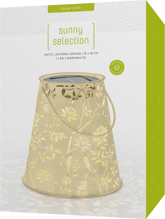 Produktbild STT Solar Antic