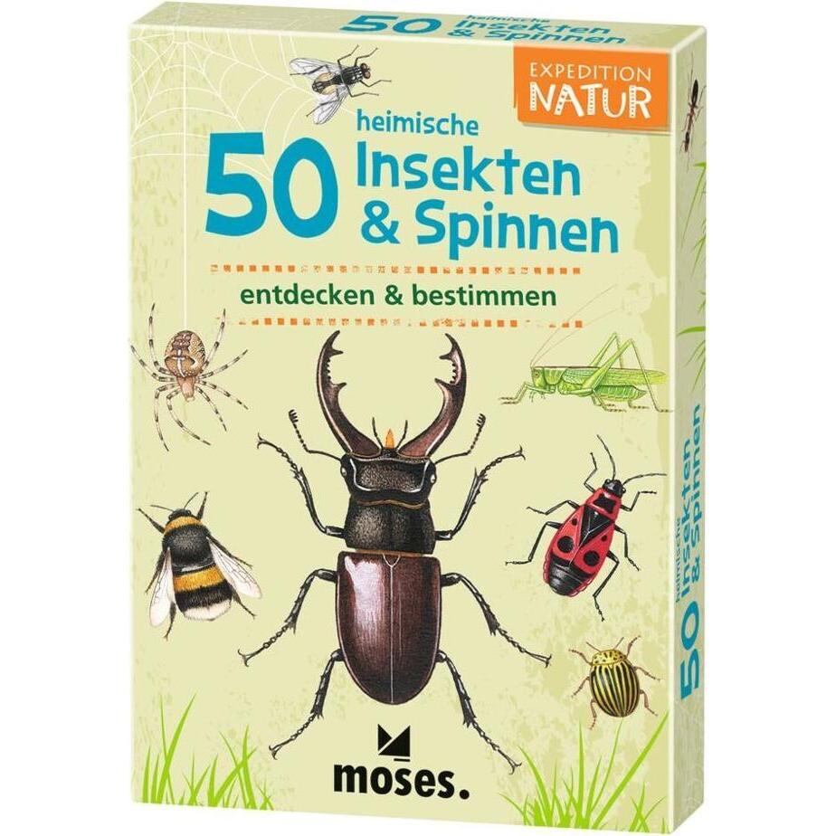 Moses 50 heimische Insekten & Spinnen (Deutsch)
