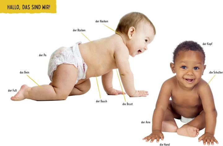 Actual product image Duden Kennst du das Mein grosses Körper-Bildwörterbuch (German, FISCHER Children's and Young Adult Paperback, 2023)