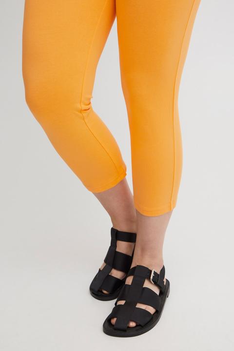 Image du produit Fransa FPKOKOS LE 2 - 20612215 (L)