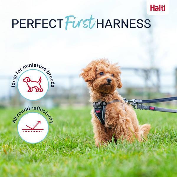 Immagine prodotto Company of Animals Pettorina per cuccioli Halti Anatomy XXS (XXS, Cane)
