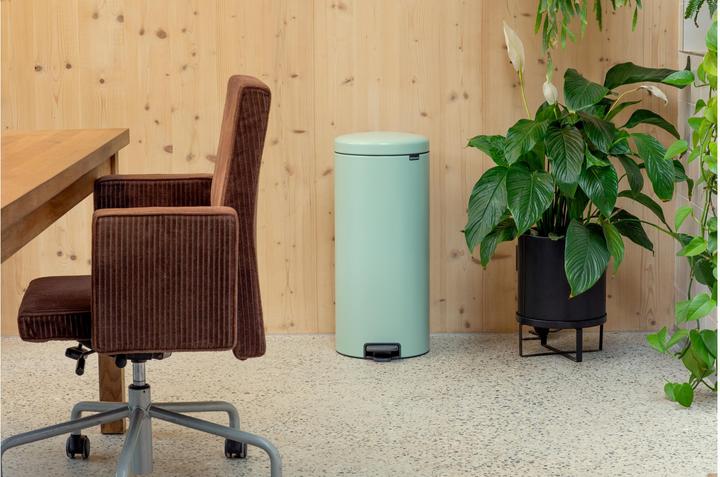 Immagine prodotto Brabantia newIcon (30 l)