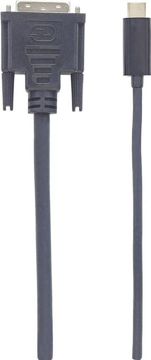Actual product image Manhattan C – DisplayPort (USB-C)