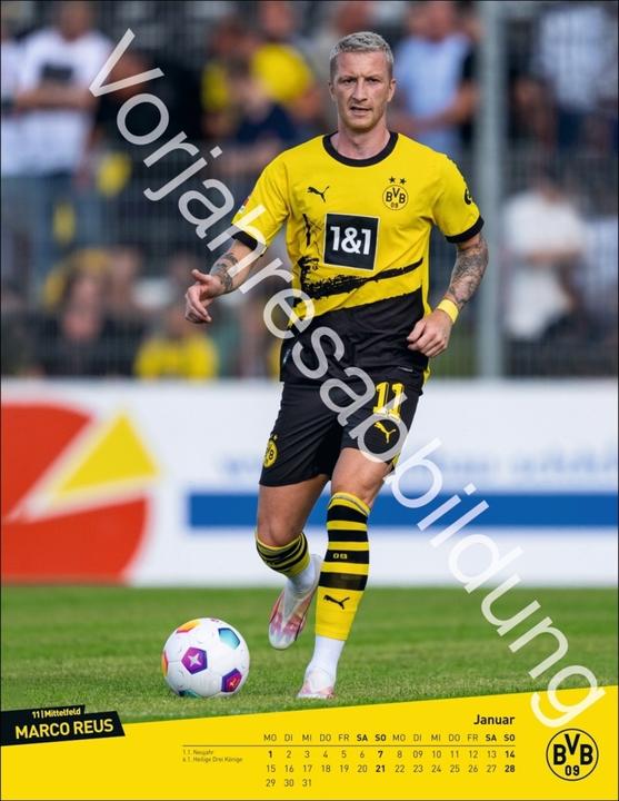 Produktbild Heye BVB Posterkalender 2025 (34 x 44 cm)