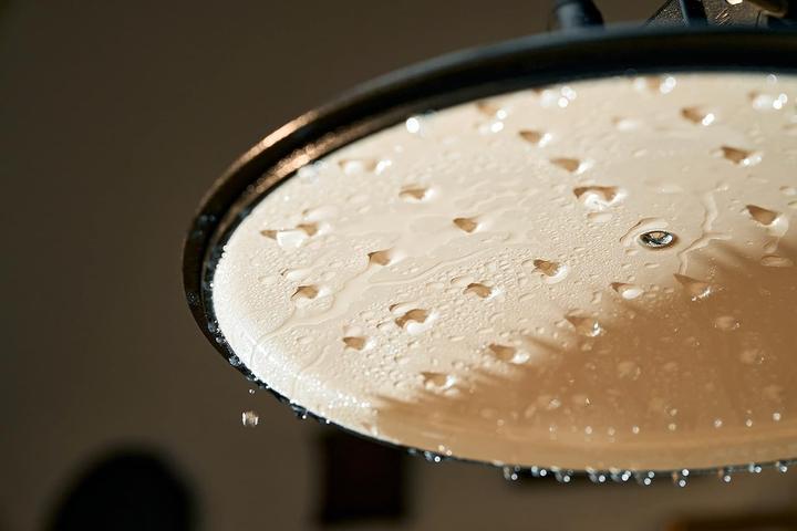 Actual product image Ballarini Cocotte BELLAMONTE 33 cm oval 6.5 litre cast iron roaster red (Casserole + Stewpot, Cast iron, 33 x 16 cm)