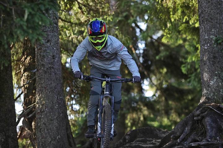 Produktbild Zimtstern Shelterz (L)