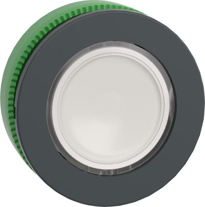 Actual product image Schneider Electric Flush White Ill Pushbutton Head