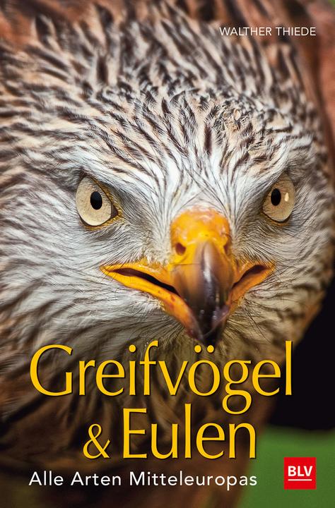 Image du produit Greifvögel & Eulen (Allemand, Walther Thiede, 2019)