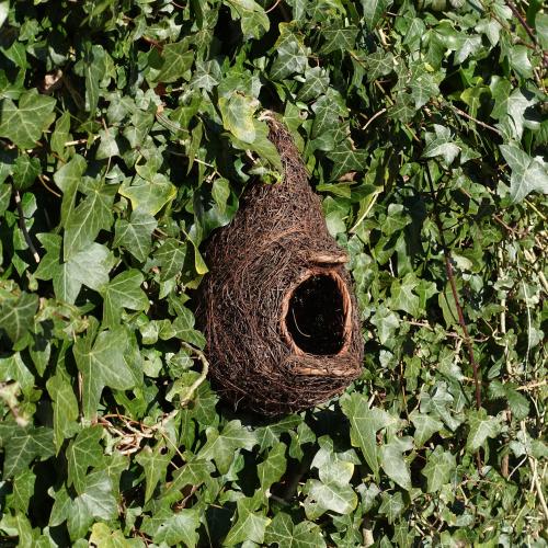 Image du produit Wildlife World Nid d'oiseau Gorgebleue à miroir