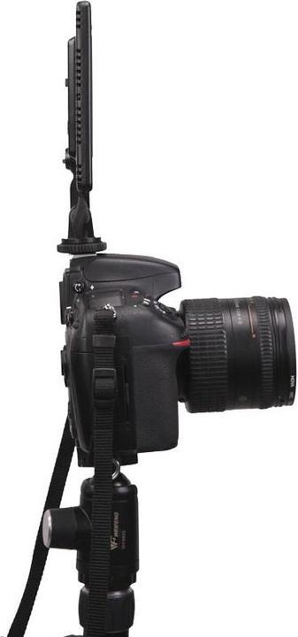 Immagine prodotto Ledgo LG-E116C illuminazione continua da studio fotografico (Videocamera)