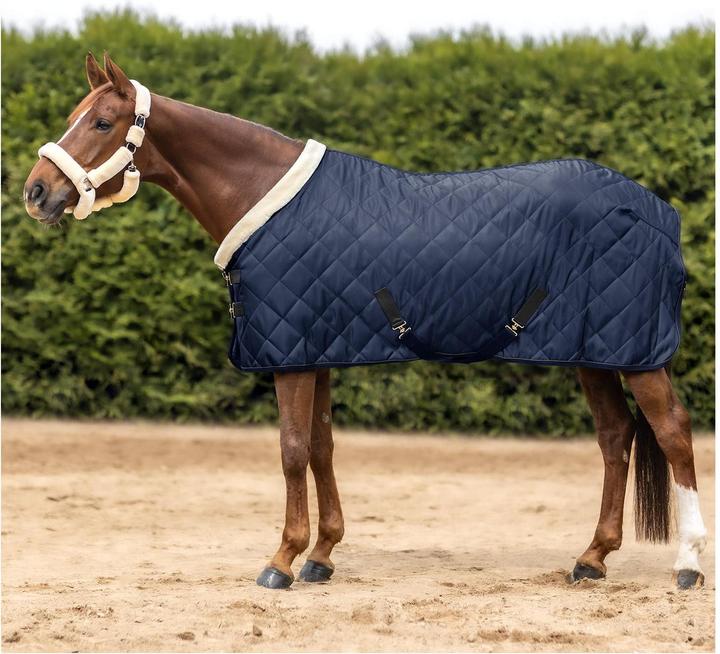 Actual product image Waldhausen Transport blanket Exclusive 50g (125 cm)