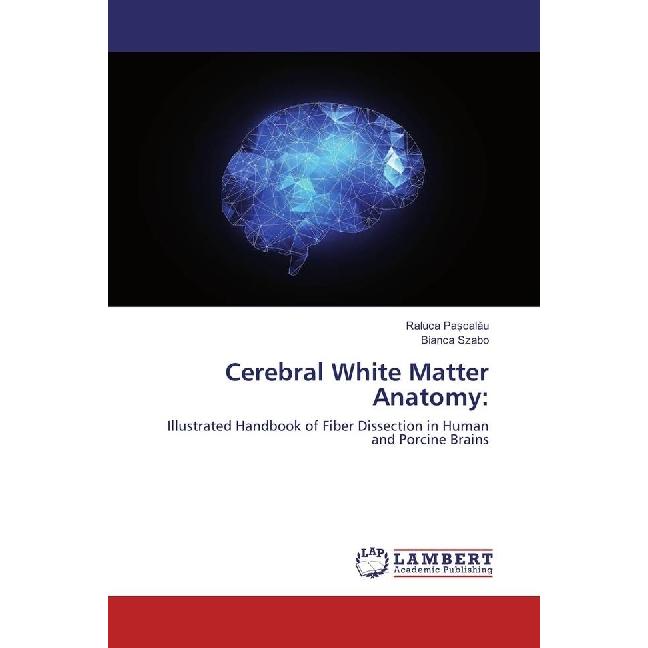 Cerebral White Matter Anatomy:, Fachbücher von Raluca Pa calau, Bianca Szabo