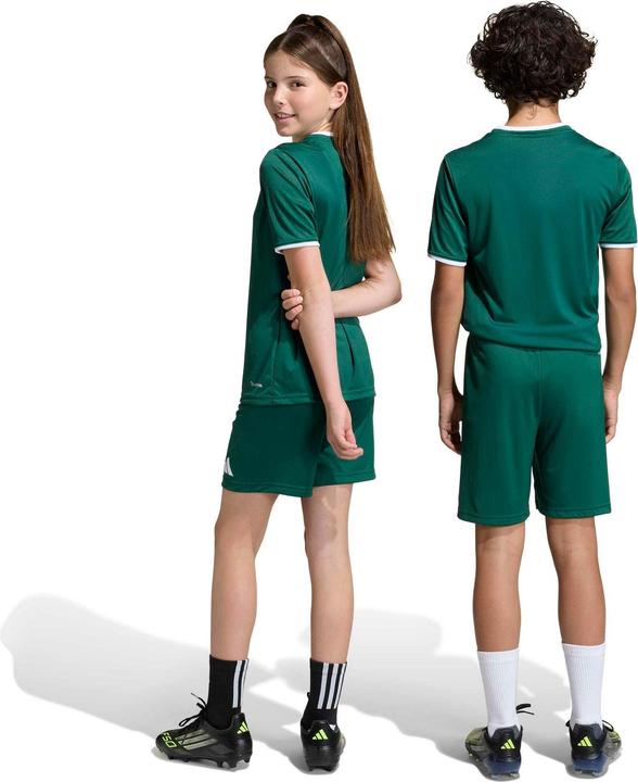Image du produit Adidas Ent26 Sho Y - drkgrn/white (164)