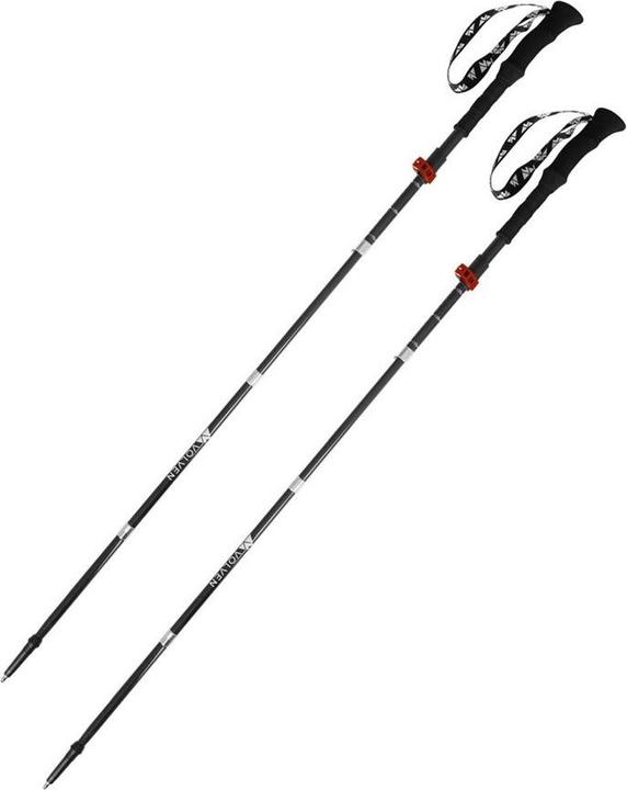 Produktbild Volven Expert Poles carbon-red