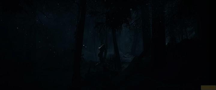 Image du produit Sony Until Dawn (PS5, EN)