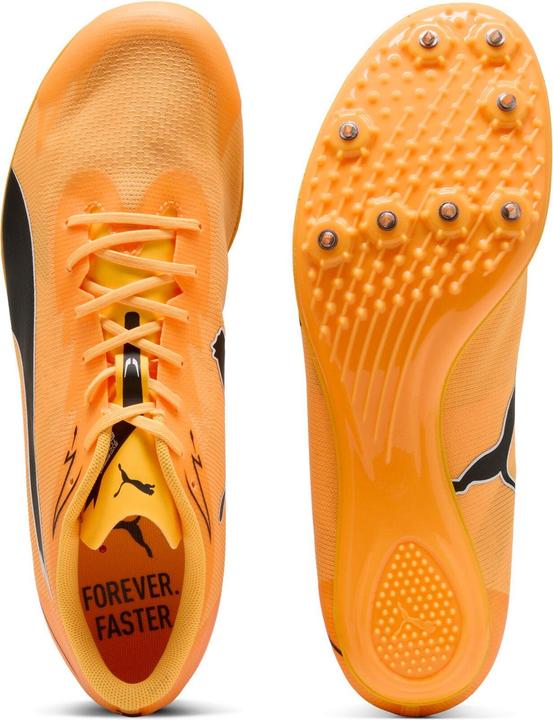Image du produit Puma evoSPEED Brush 7 (38)
