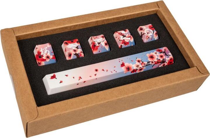 Image du produit Traitors Sakura Shiro Set