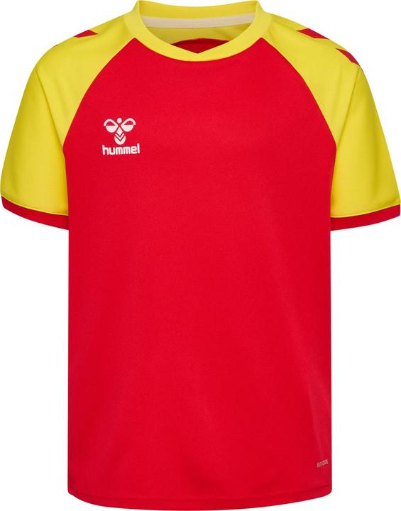 trueredblazingyellow