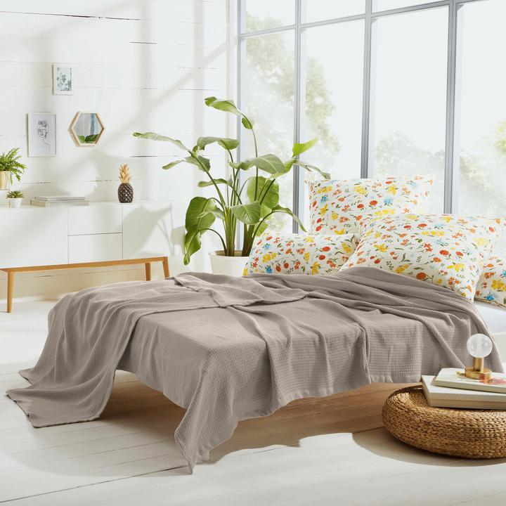 Image du produit Erwin Müller Sommer-Decke (220 x 240 cm)