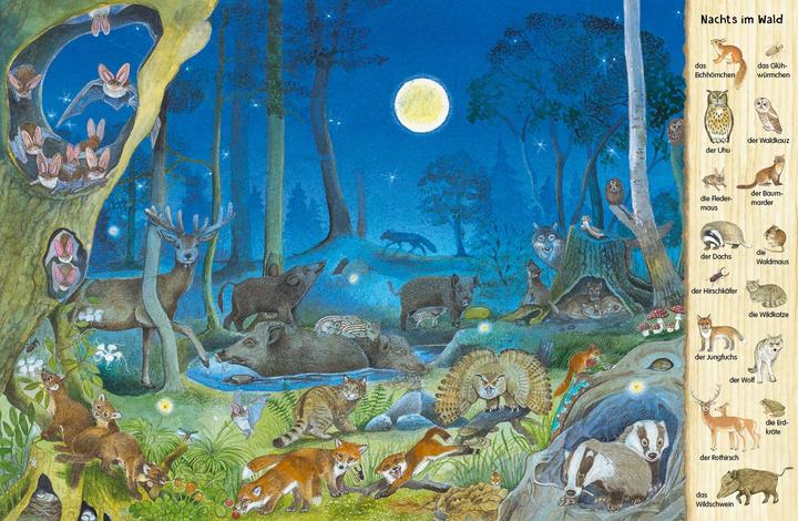Produktbild Mein erstes Wimmelbuch: Tiere in der Nacht (Deutsch, Christine Henkel, 2018)