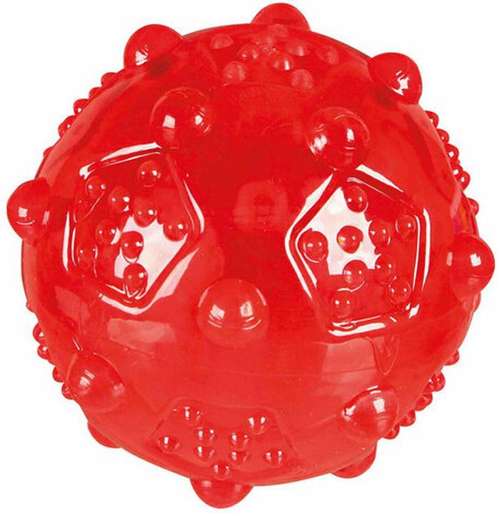 Produktbild Trixie Ball (Ballspielzeug Hund)