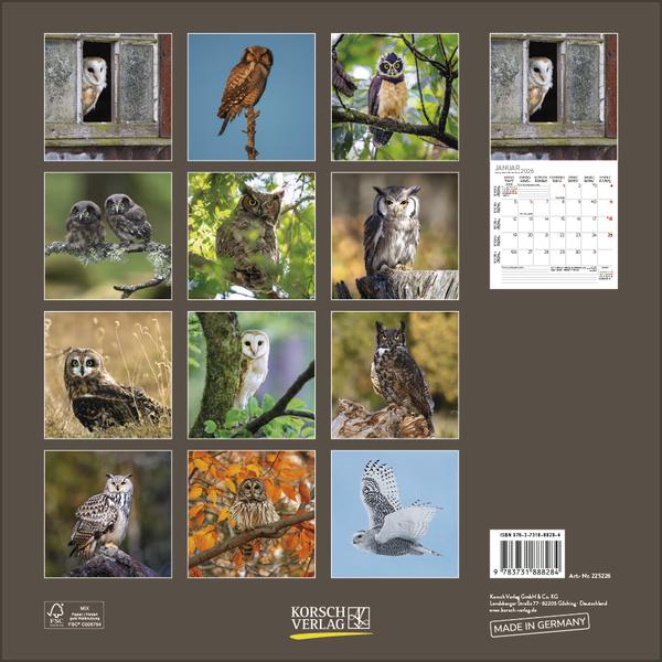 Produktbild Eulen 2026 (30 x 30 cm)