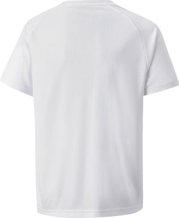 Image du produit Puma Maillot teamVISION Jr-704928 (164)