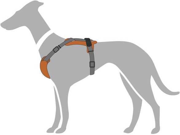 Produktbild Hunter Geschirr Aalborg Mixed (S, Hund, Allgemein)