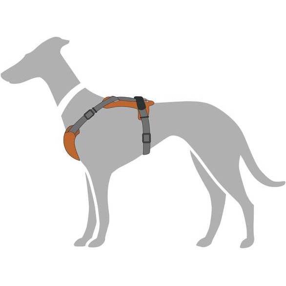 Thumbnail - Hunter Geschirr Aalborg Mixed (S, Hund, Allgemein), Halsband + Leine